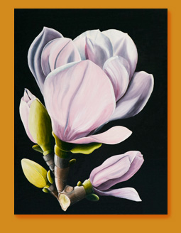 Large Magnolia 30x40 $3600